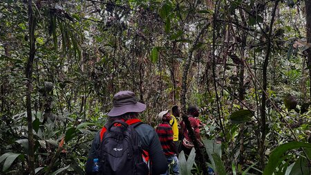 Nitrian Community Forest in Liberia