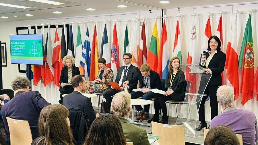 Breaking the chains - EU Regulation on deforestation-free commodities