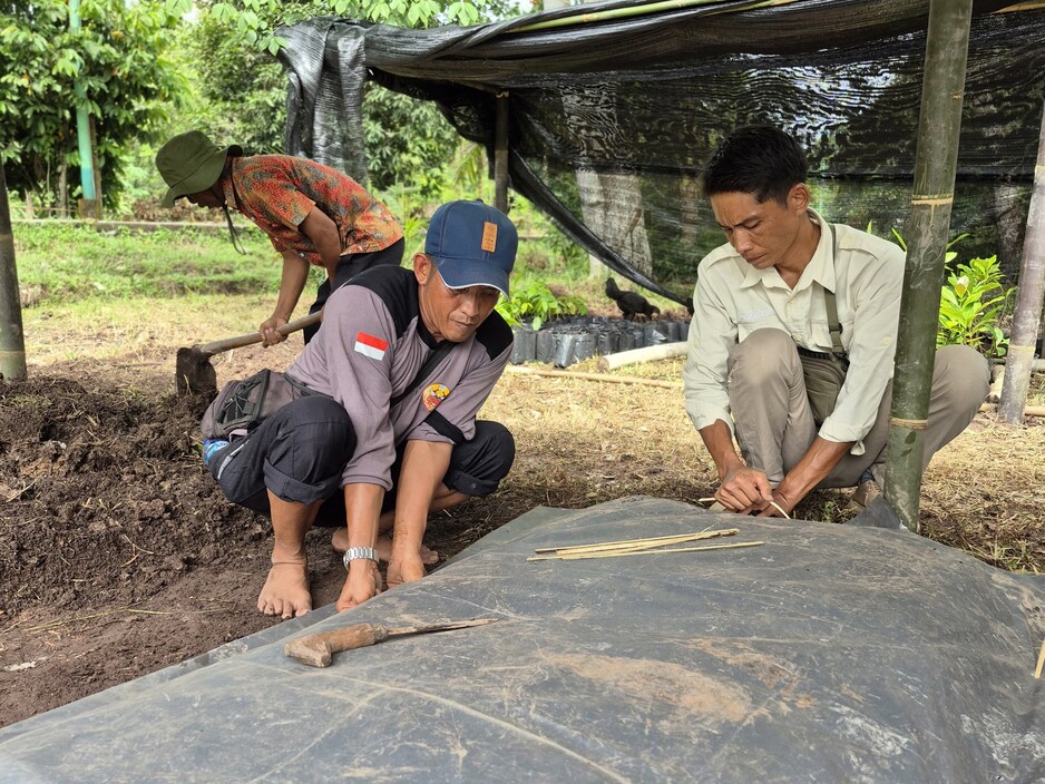 Mafrur_SLP_pix_highres