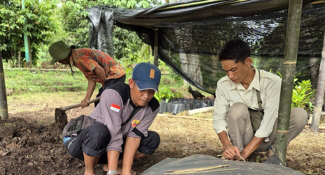 Mafrur_SLP_pix_highres