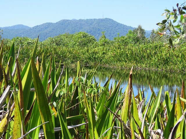 New guidance for working with High Conservation Values in Malaysia
