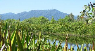 New guidance for working with High Conservation Values in Malaysia