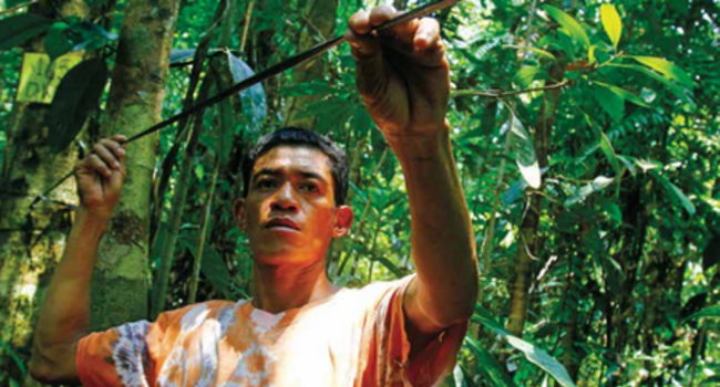 Proforest and the EU REDD Facility publish briefing notes on FLEGT and REDD+