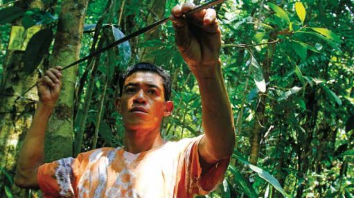 Proforest and the EU REDD Facility publish briefing notes on FLEGT and REDD+