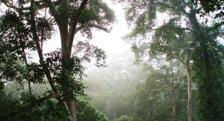 Verified Deforestation and Conversion-free Methodology