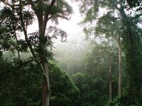 New Guidance for the Management and Monitoring of High Conservation Values in Malaysia