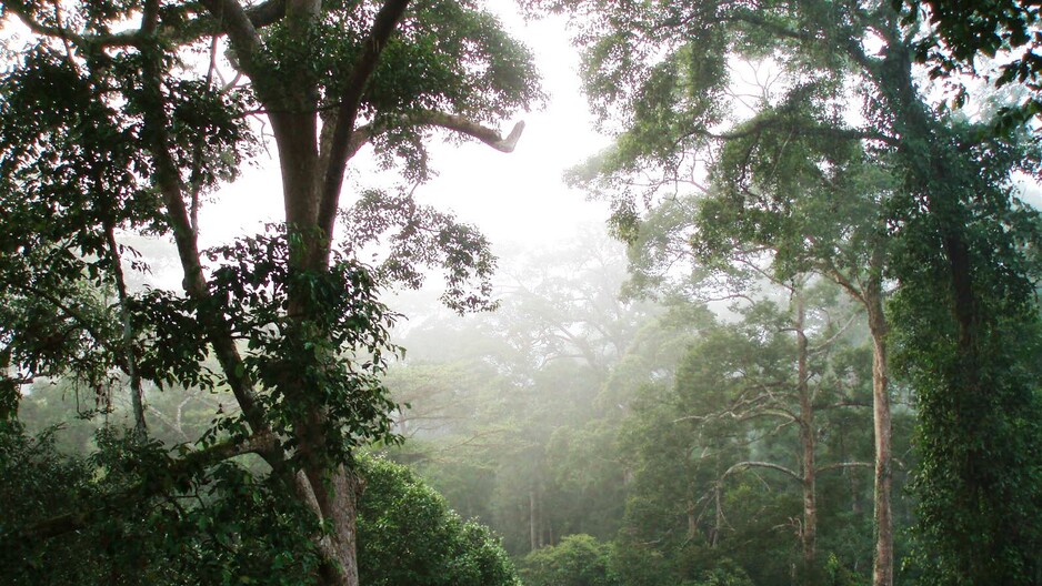 Verified Deforestation and Conversion-free Methodology