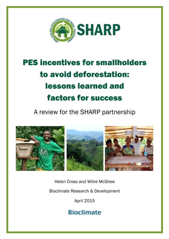 PES incentives for smallholders to avoid deforestation: lessons learned and factors for success