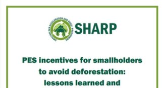 PES incentives for smallholders to avoid deforestation: lessons learned and factors for success