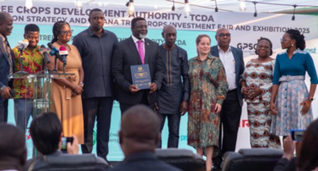 Tree Crops Development Authority launches three-year communication strategy to boost awareness and compliance