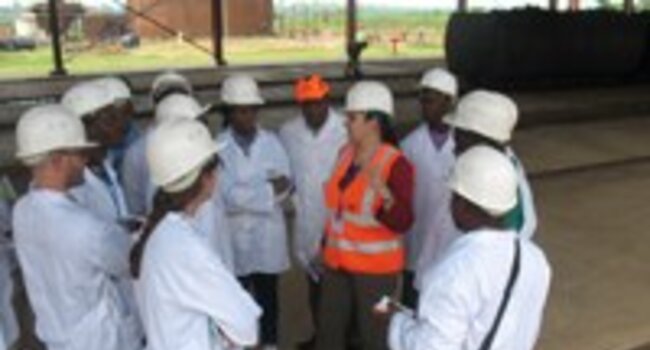 Revised RSPO requirements for auditors