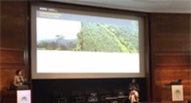 Proforest attends fifth RSPO European Roundtable