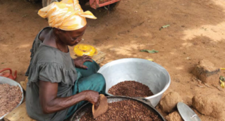 The Africa Sustainable Commodities Initiative