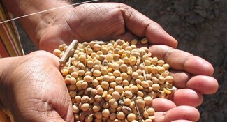 Protecting and Respecting Human Rights Defenders