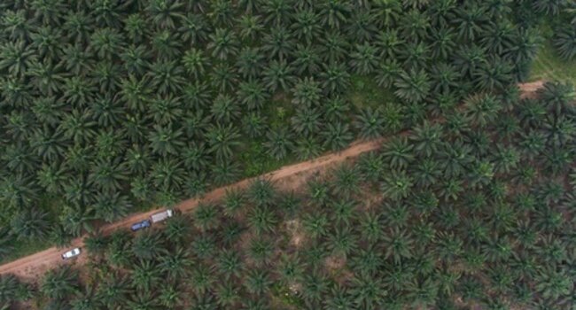 Benchmarking national legislation against voluntary certification schemes