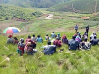 Tea and palm in East Africa: ensuring responsible production