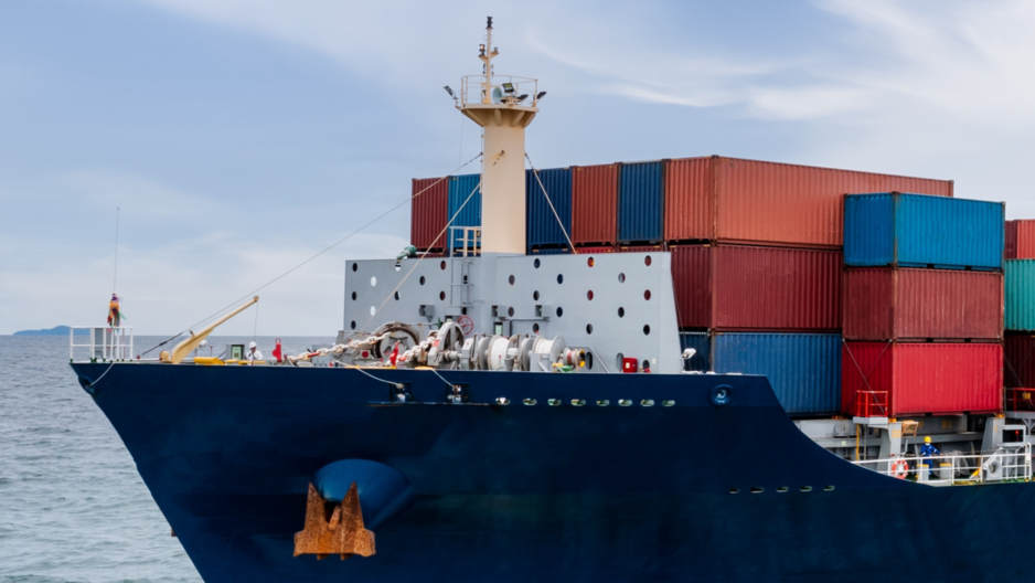 Exportadores de Brasil y el EUDR: simulacros en las cadenas de carne bovina y soja