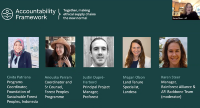 Protecting land rights in commodity supply chains