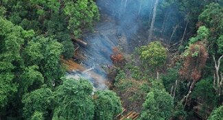 Avaliação de risco de desmatamento ao longo da cadeia de fornecimento agrícola global
