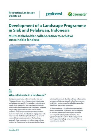 Development of a Landscape Programme in Siak and Pelalawan, Indonesia