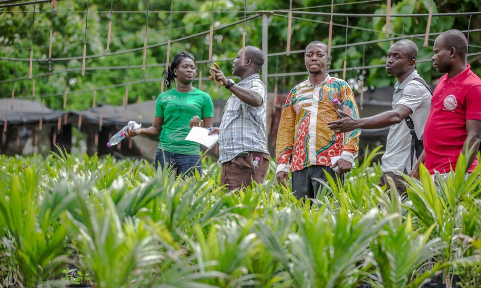 RSPO P&C LA course in Ghana 2022