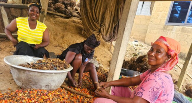 Giving workers a voice: Using digital technology to tackle labour risks in cocoa and oil palm supply chains