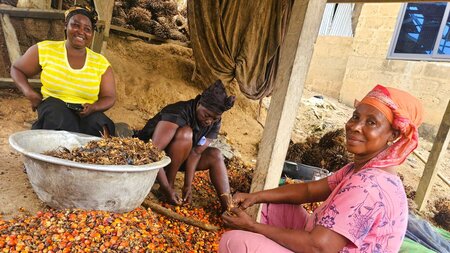 Giving workers a voice: Using digital technology to tackle labour risks in cocoa and oil palm supply chains