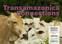 ConexoesTransamazonicas_Fase-I-3.pdf