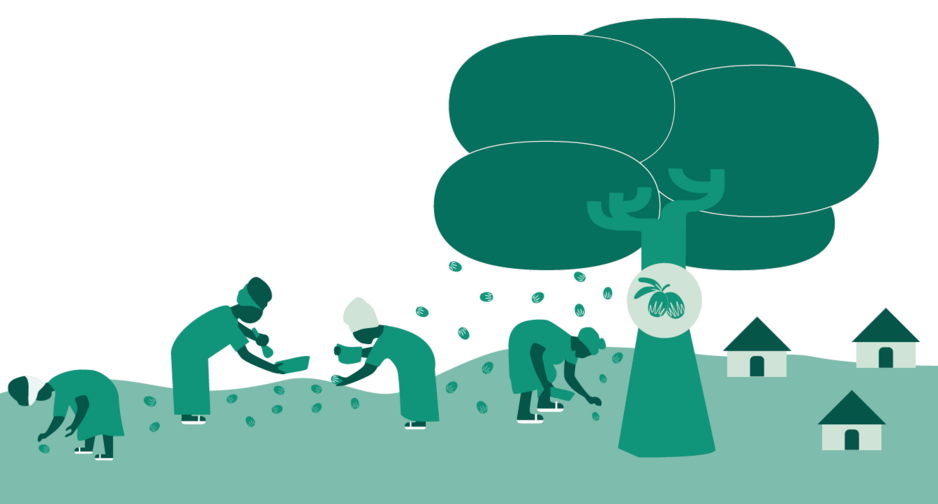 El paisaje del karité (infografía)