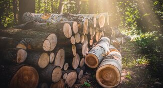 EU Regulation on Deforestation-Free Products: Recommendations for a Forest Positive Impact