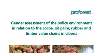 Gender assessment of the policy environment  in relation to the cocoa, oil palm, rubber and  timber value chains in Liberia