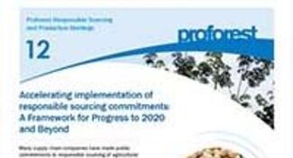 Accelerating implementation of responsible sourcing commitments: A Framework for Progress to 2020 and Beyond