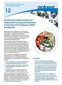 Accelerating implementation of responsible sourcing commitments: A Framework for Progress to 2020 and Beyond