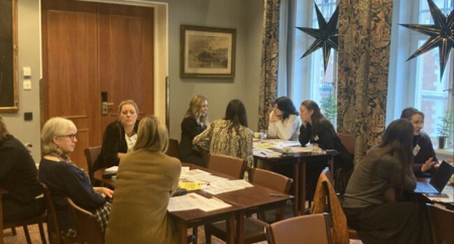 Swedish Network for Business & Human Rights