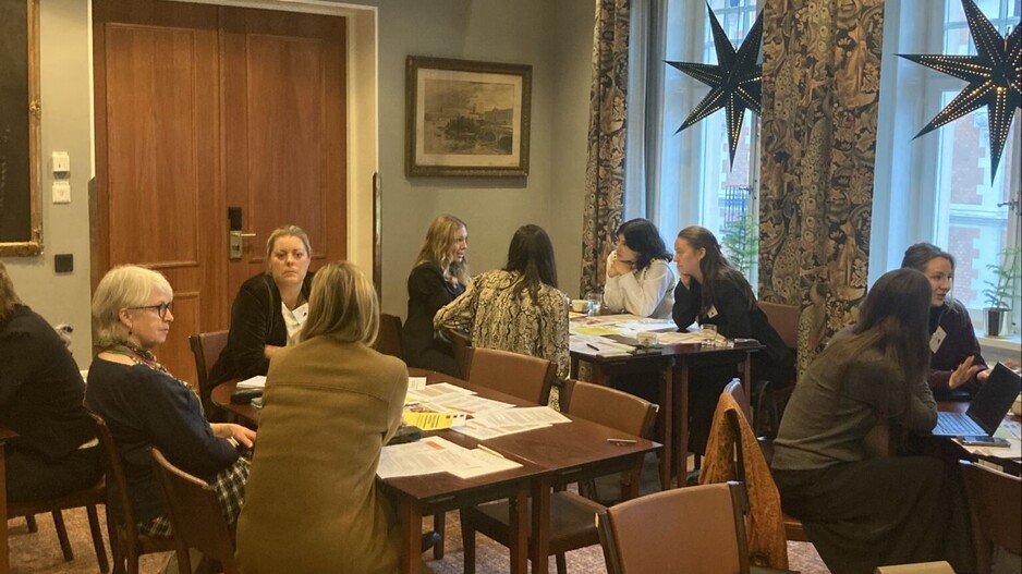 Swedish Network for Business & Human Rights