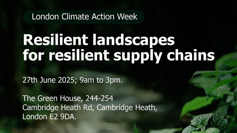 Resilient Landscapes for Resilient Supply Chains