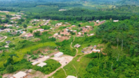 Investir dans le paysage de San Pedro: Collaboration et Communauté en Côte d'Ivoire 