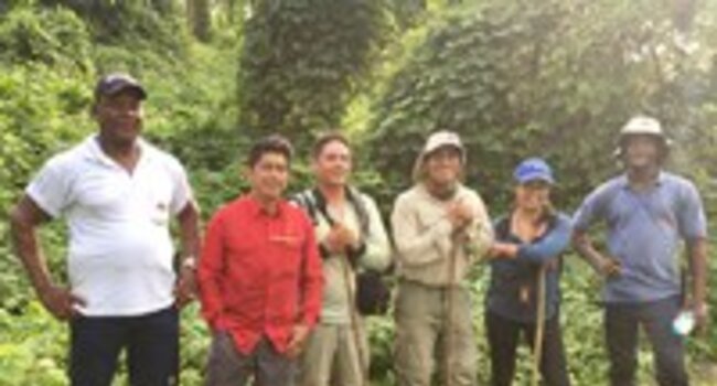 Keeping up the pace with Proforest: a new week, a new set of activities