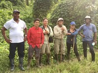 Keeping up the pace with Proforest: a new week, a new set of activities