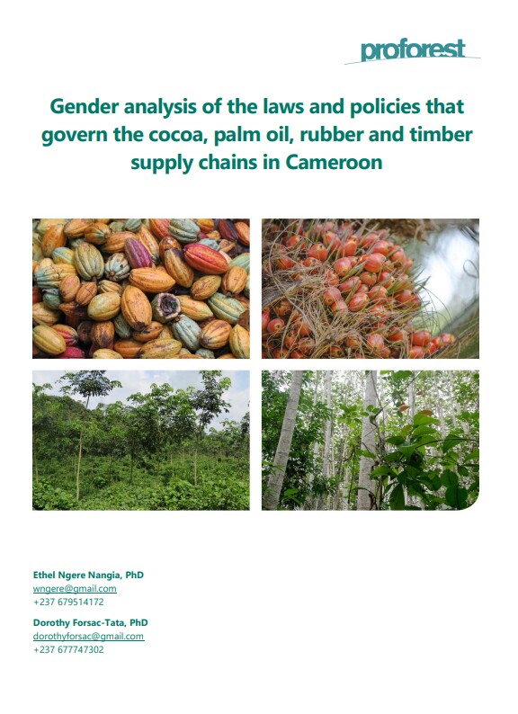 Gender analysis of the laws and policies that govern the cocoa, palm oil, rubber and timber supply chains in Cameroon
