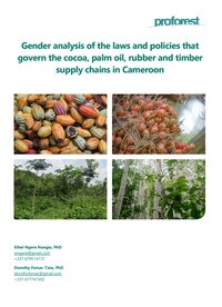 Gender analysis of the laws and policies that govern the cocoa, palm oil, rubber and timber supply chains in Cameroon 