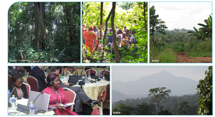 The Africa Palm Oil Initiative Highlights from 2020 - 2021