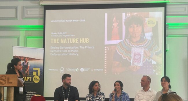 London Climate Action Week takeaway: Resilient landscapes are the foundation for a robust global economy