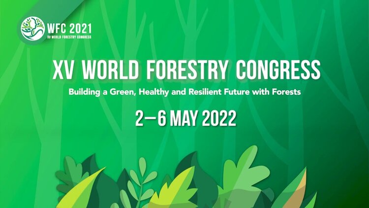 Promoting green economy growth in natural rubber systems and beyond: World Forestry Congress Side Event, May 4th 2022