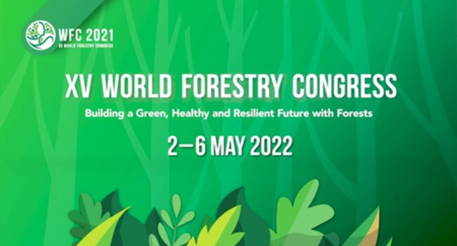 Promoting green economy growth in natural rubber systems and beyond: World Forestry Congress Side Event, May 4th 2022