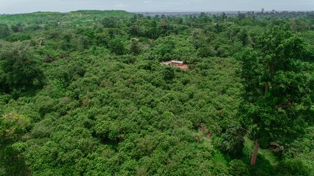 Proforest Africa secures funding from companies to strengthen its forest protection and sustainable cocoa programme in Asunafo-Asutifi landscape