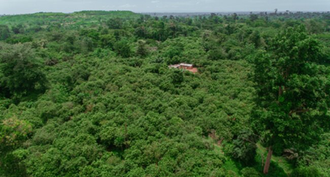 Proforest Africa secures funding from companies to strengthen its forest protection and sustainable cocoa programme in Asunafo-Asutifi landscape