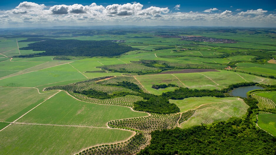 Accelerating Investment by Downstream Companies Towards Impact in Production Landscapes