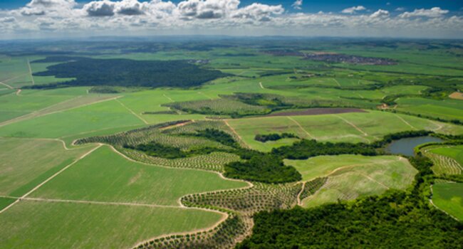 ADP Multi-Stakeholder Meeting 2025