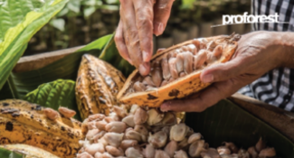 Aligning Company and Government Action on Deforestation: Lessons from Ghana, Côte d’Ivoire and Peru